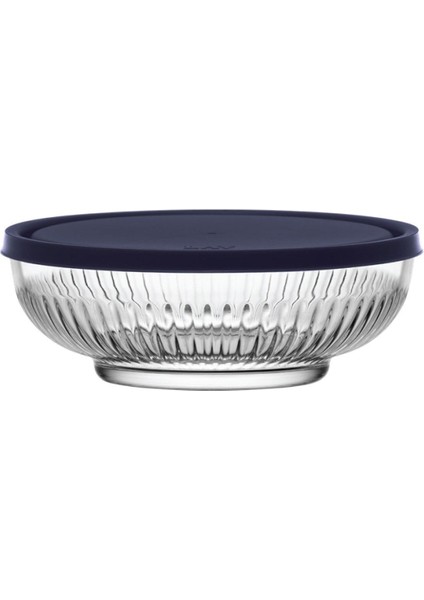 Feyzade Tokyo Saklama Kabı Seti 3'lü (880CC x 3 Adet) Lacivert Kapaklı indirimleri