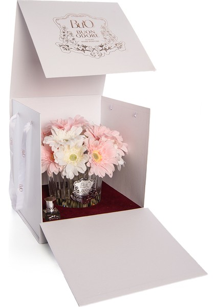 Gerbera Sılver Arajman fırsatları