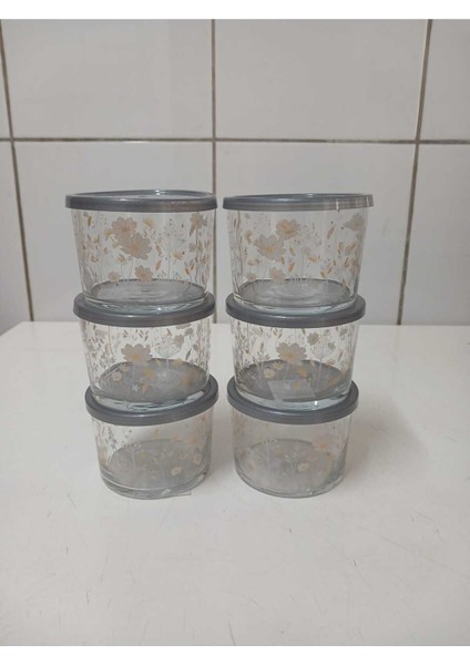 Feyzade Bodega Saklama Kabı (240CCX6 Adet) Antrasit Kapaklı Çiçek Desenli (LV-BDG-384) fiyatları