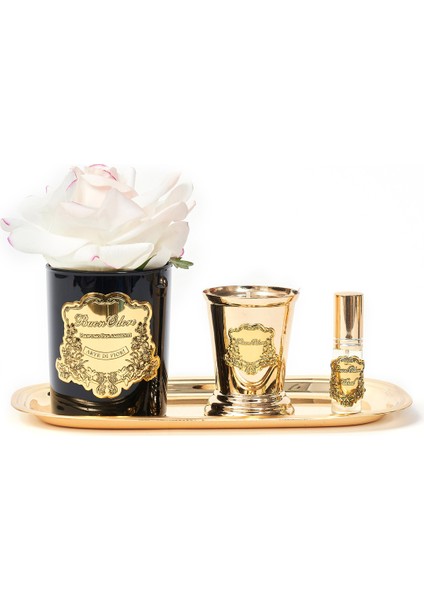 Siyah Cam Gold Allıklı Set fiyatları