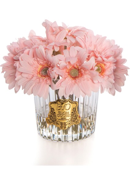 Gerbera Gold Pembe