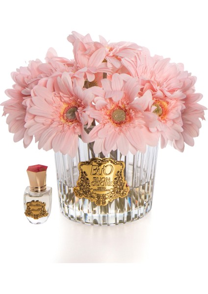 Gerbera Gold Pembe fiyatları