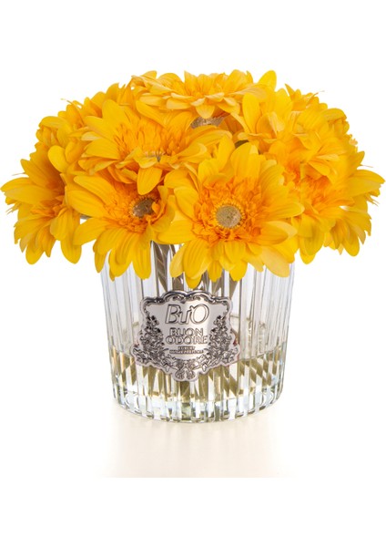 Gerbera Sılver Sarı