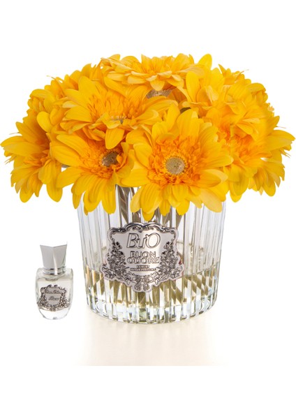 Gerbera Sılver Sarı fiyatları