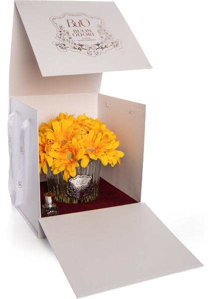 Gerbera Sılver Sarı fırsatları