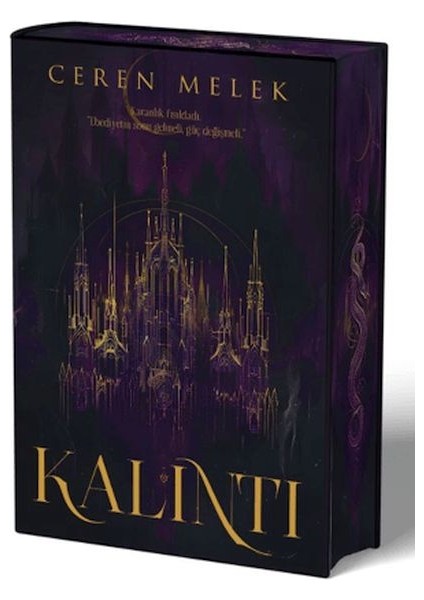 Kalıntı (Ciltli)