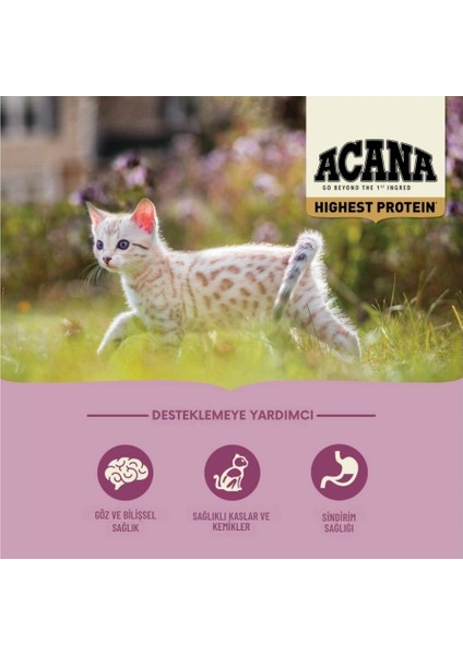 Highest Protein Kitten Yavru Kedi Maması (1,8 Kg) modelleri