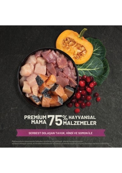 Highest Protein Kitten Yavru Kedi Maması (1,8 Kg) fırsatları