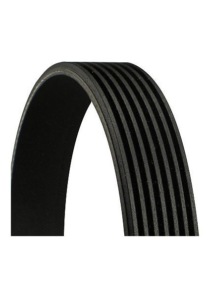 Kanallı Kayış Nıssan Qashqaı J10 / Opel Movano. Vıvaro / Renault Fluence / Toyota Land Cruıser