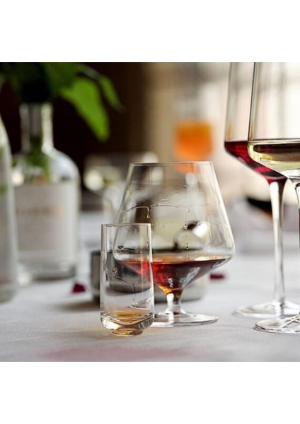Rocks Cognac Bardağı 2 Adet 45 cl 2 modelleri