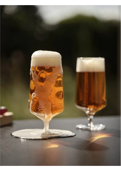 Rocks Bira Bardağı 2 Adet 30 cl