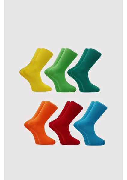 Erkek Çok Renkli Soket Uzun Düz Çorap Dikişsiz 6'lı Özel Kutu Paket fiyatları