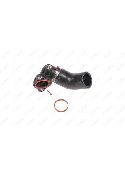 Egr Borusu Contası Kangoo Dokker Duster Megane Iıı-Iv Symbol Talısman 1.5 Dcı