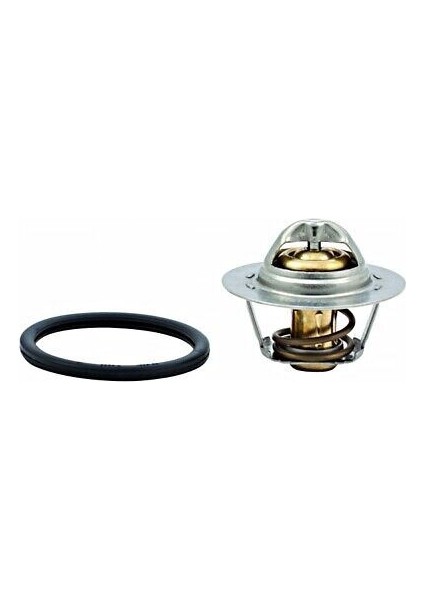 Termostat 75 C Renault Clıo Iıı
