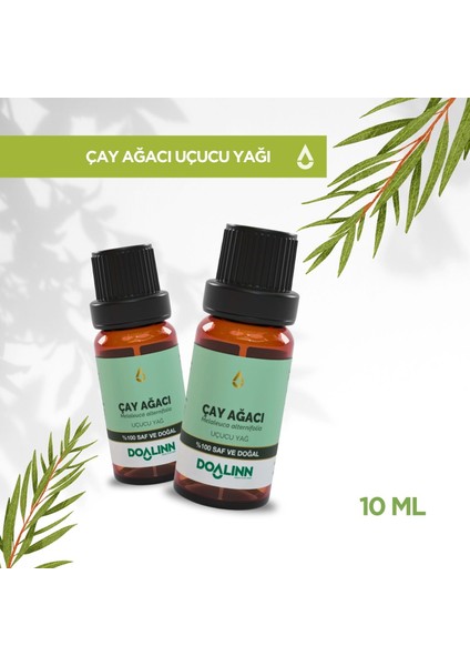 Çay Ağacı Uçucu Yağı 10 ml modelleri
