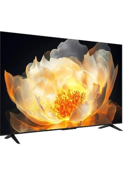 65V6C 65" 165 Ekran Uydu Alıcılı 4K Ultra HD Google Smart LED Android TV fiyatları