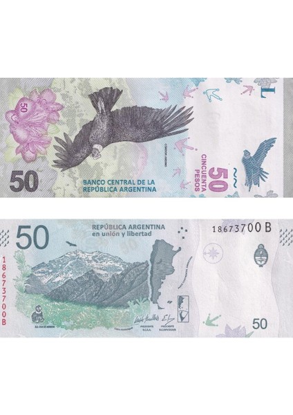 Arjantin 50 Peso - 2018 - Çil