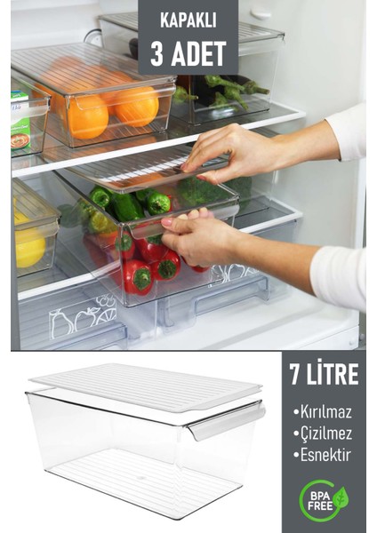 Kapaklı Büyük Boy Buzdolabı Düzenleyici Meyve Sebze Saklama Kabı Organizer 7 Litre x 3 Adet