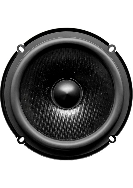 OM160ES 16 cm 2 Yollu 120 Watt Komponent