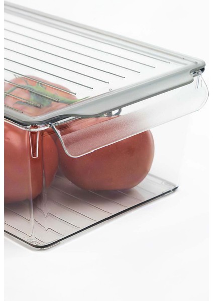 Kapaklı Buzdolabı Düzenleyici Meyve Sebze Saklama Kabı Organizer 3 Litre x 3 Adet fiyatları