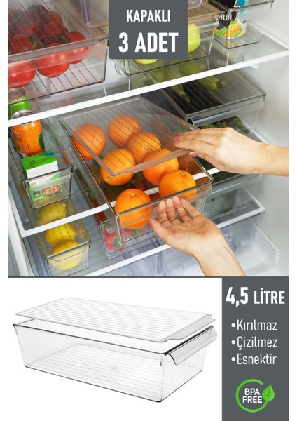 Kapaklı Buzdolabı Düzenleyici Meyve Sebze Saklama Kabı Organizer 4,5 Litre x 3 Adet