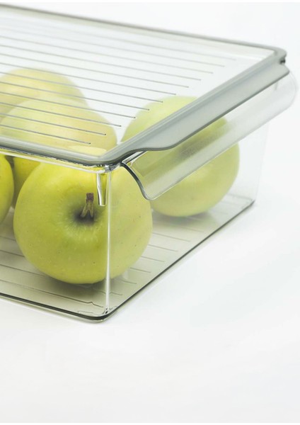 Kapaklı Buzdolabı Düzenleyici Meyve Sebze Saklama Kabı Organizer 4,5 Litre x 3 Adet fiyatları