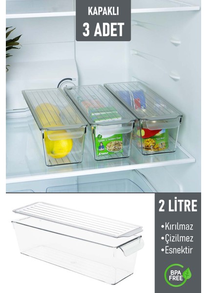 Kapaklı Buzdolabı Düzenleyici Meyve Sebze Saklama Kabı Organizer 2 Litre x 3 Adet