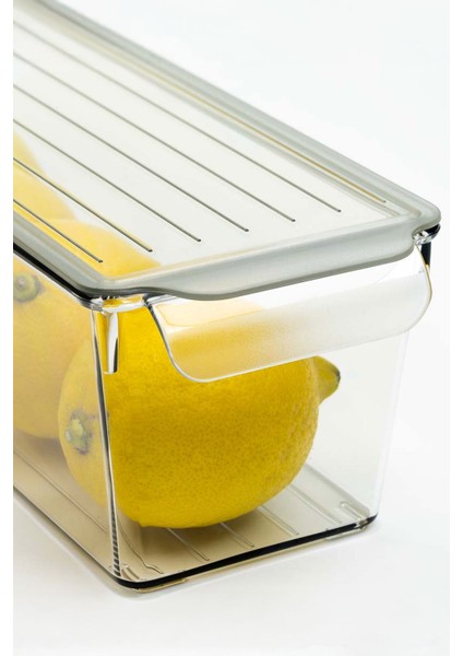 Kapaklı Buzdolabı Düzenleyici Meyve Sebze Saklama Kabı Organizer 2 Litre x 3 Adet fiyatları