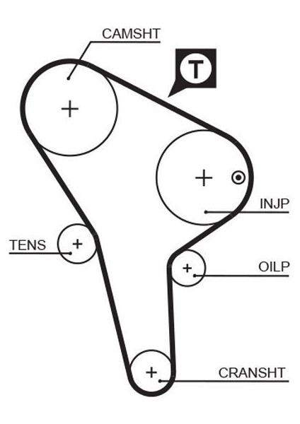 5176 - Triger Kayışı 135×254 Audı Vw Golf 1.6d 8V 80-91 Passat1.6d 8V 81-88 Transporter 1.6d CT513