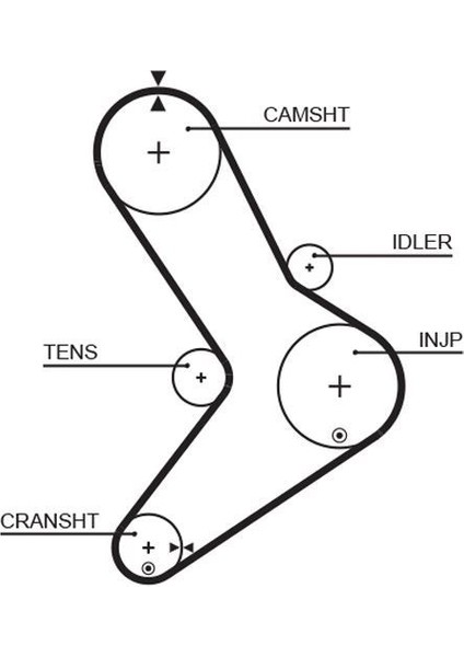 5334XS - Triger Kayışı 152×300 Movano-Mastr 2.5d 152 Diş GD152H95P300 CT1038