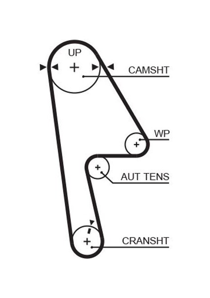 5593XS - Triger Kayışı Eksantrik Kayışı Honda Cıvıc 1.4l D14Z6 1.6l D16V1 D16W7 Vtec Ep Es Eu 01-05