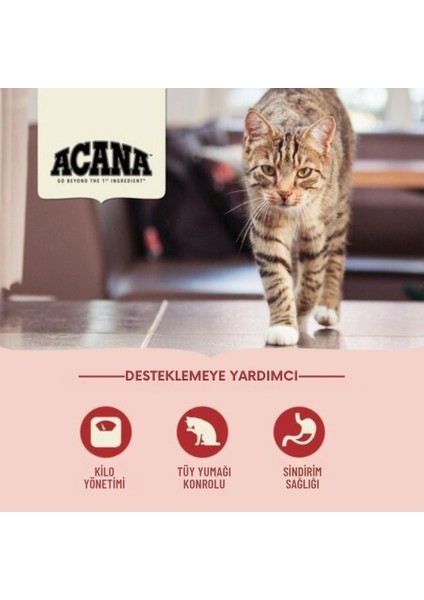 Indoor Entree Yetişkin Kuru Kedi Maması (4,5 Kg) modelleri