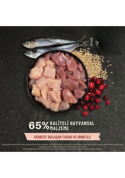 Indoor Entree Yetişkin Kuru Kedi Maması (4,5 Kg) fırsatları