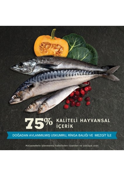 Pacifica Kuru Kedi Maması (4,5 Kg) modelleri