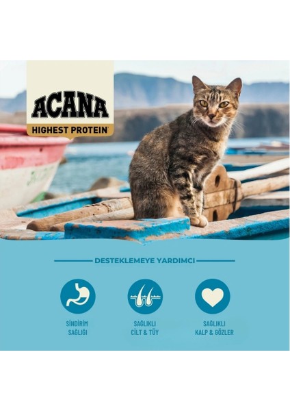 Pacifica Kuru Kedi Maması (4,5 Kg) fırsatları