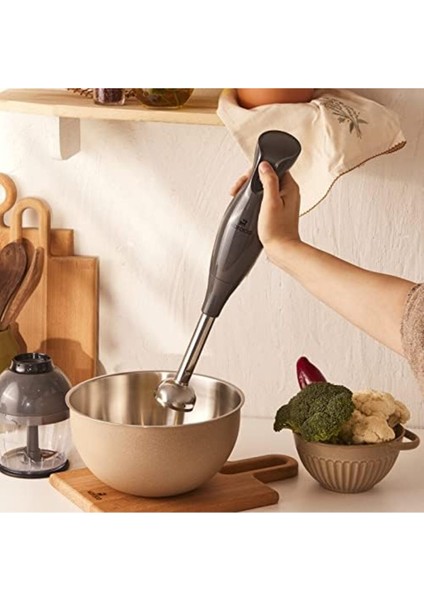 3'lü 1000W Blender Seti, Space Gray, Çok Renkli, Dayanıklı ve Şık Tasarım fiyatları