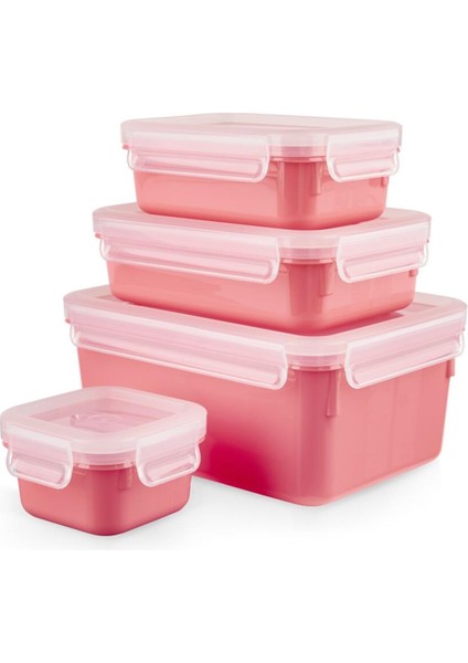 MasterSeal Color 4'lü Saklama Kabı Seti - Pudra