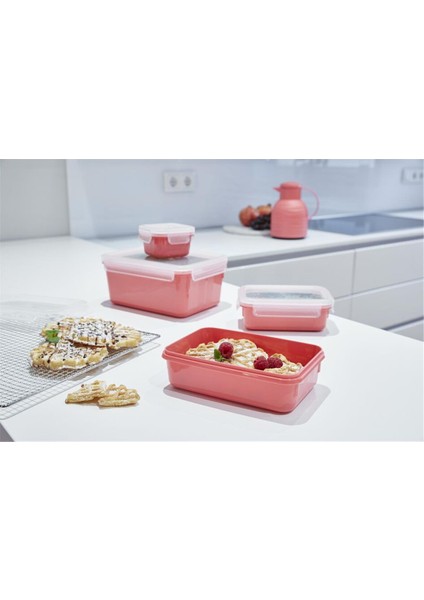 MasterSeal Color 4'lü Saklama Kabı Seti - Pudra