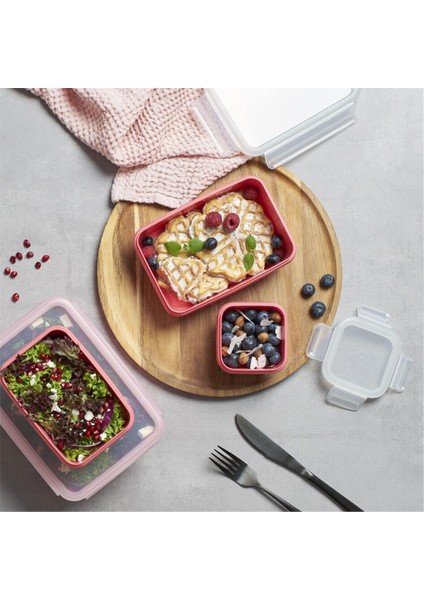 MasterSeal Color 4'lü Saklama Kabı Seti - Pudra