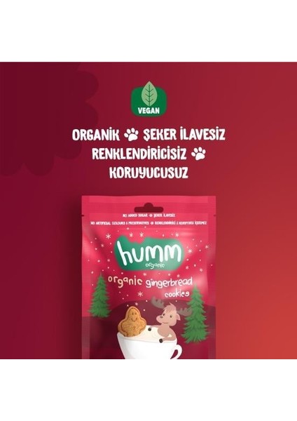 Nessiworld Humm Organik Zencefilli ve Tarçınlı Vegan Kurabiye 55 gr fiyatları