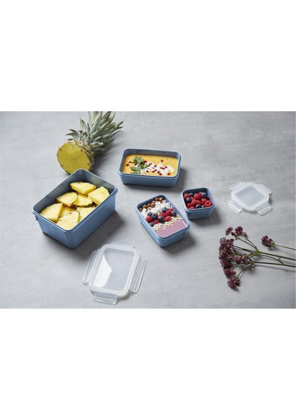 MasterSeal Color 4'lü Saklama Kabı Seti - Mavi