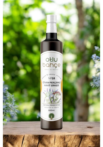 Doğal Fermantasyon Hatun Sirkesi 500ML (Civan Perçemi, Hayıt Tohumu) modelleri