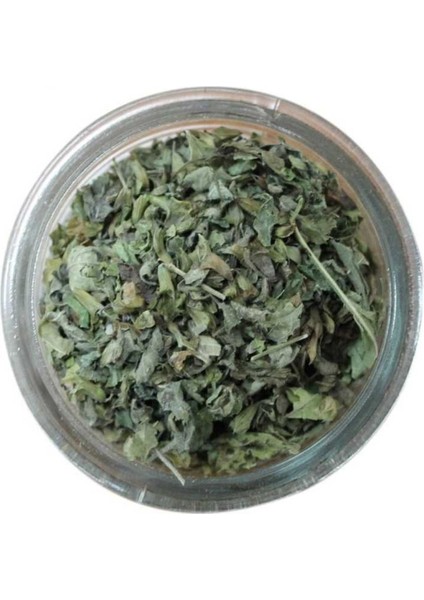 Sevinç Teyze Oğul Otu, Melisa Bitkisi, Melissa Officinallis 20G. fırsatları