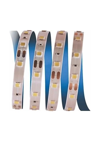 5 Metre Cata Ct 4481 Iç Mekan 12V 10 Çipli Şerit LED 3200K Günışığı