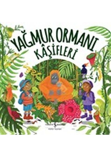 Yağmur Ormanı Kaşifleri