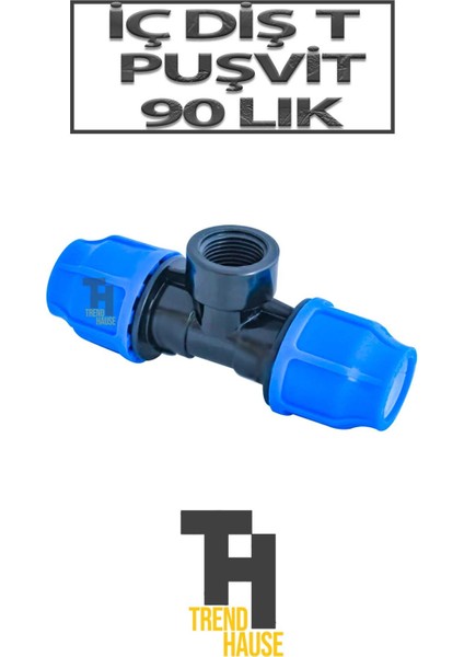 Iç Diş Te Puşvit 90'lık