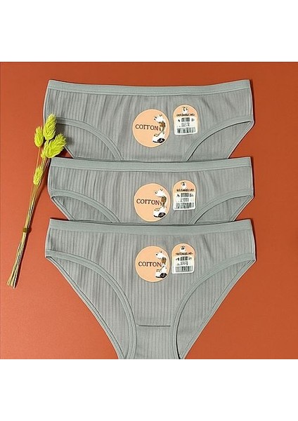 Kadın Külot 3'lü Renk Pamuklu Fitilli Üçgen Slip-Külot Gri Kaşkorse fiyatları