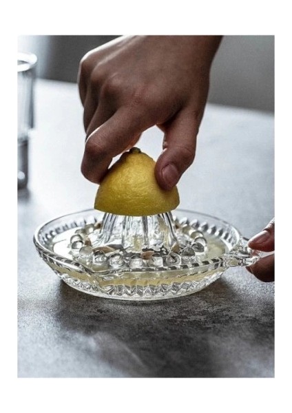 Cam Limon Sıkacağı fiyatları