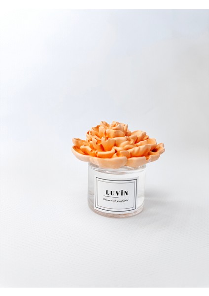 Mango Büyük Seramik / Taş Çiçekli Oda Kokusu 50 ml fiyatları