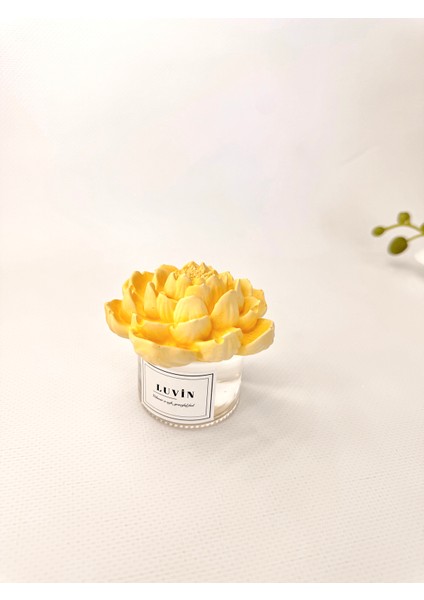 Pudra Büyük Dekoratif Çiçekli Oda Kokusu 50 ml fiyatları